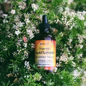 LiqTurmeric_4oz_669A_ag1
